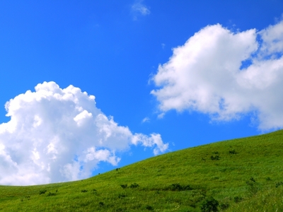 614f9e13bdb809b55911b0aba365ee05_s.jpg